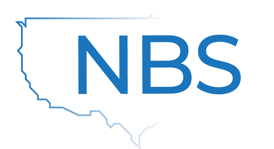 The NBS Group logo Blue Version The NBS Group logo Blue Version